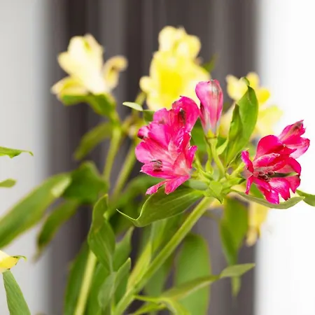 Dzielna By Renters Apartamento